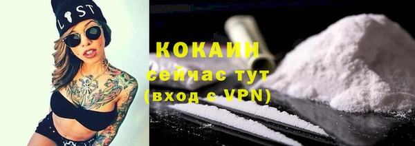 гидра Вязники