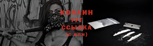 ALPHA PVP Вяземский