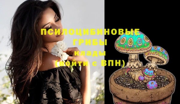 соль курить ск Вязьма