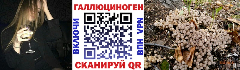 Галлюциногенные грибы мицелий  продажа наркотиков  Ишим 